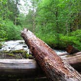 Review photo of Still Creek by Shannon C., September 1, 2016