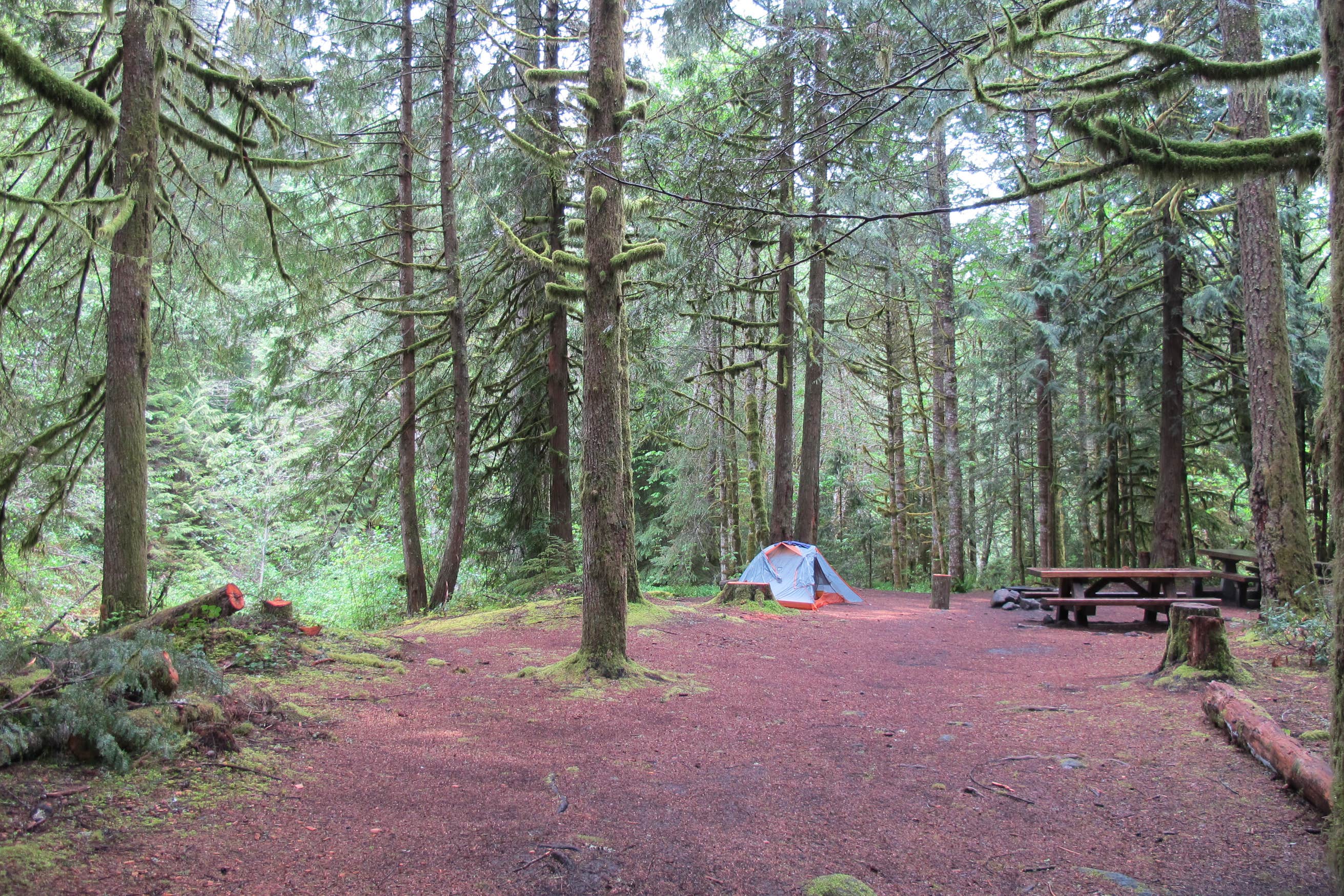 Still Creek The Dyrt