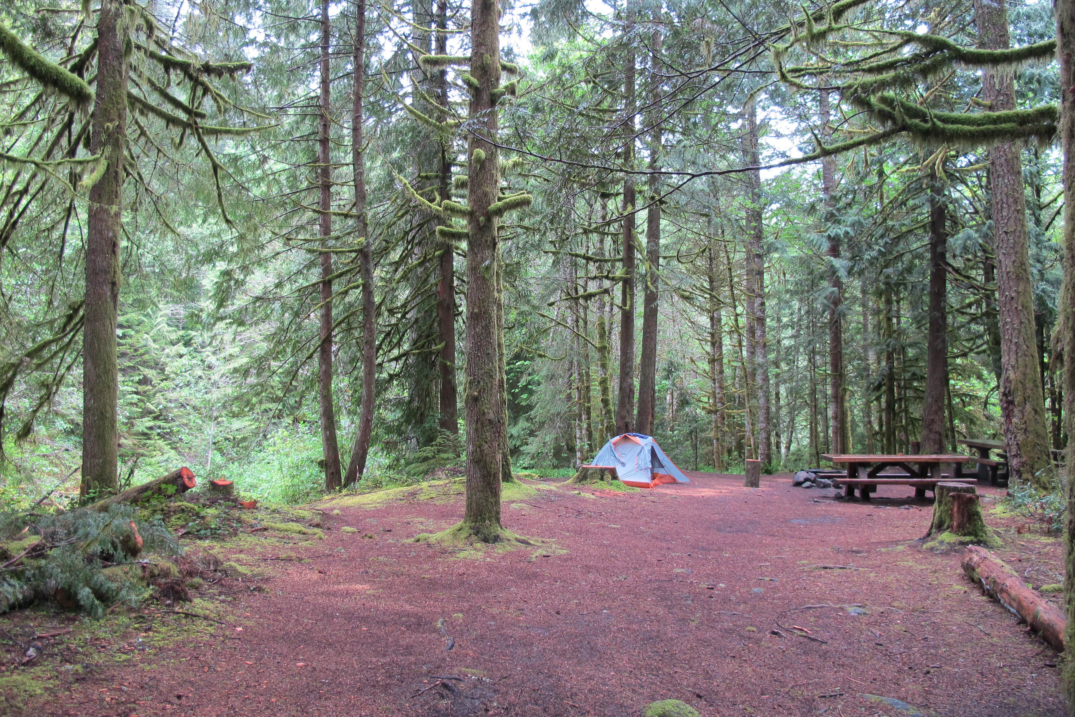 Camper submitted image from Still Creek - 4