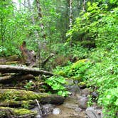 Review photo of Still Creek by Shannon C., September 1, 2016