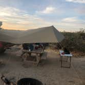 Review photo of Cottonwood Campground — Joshua Tree National Park by Christina S., June 13, 2019