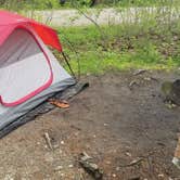 Review photo of Wolfe's Neck Oceanfront Campground by Catherine M., June 13, 2019