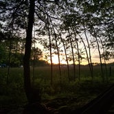 Review photo of Wolfe's Neck Oceanfront Campground by Catherine M., June 13, 2019