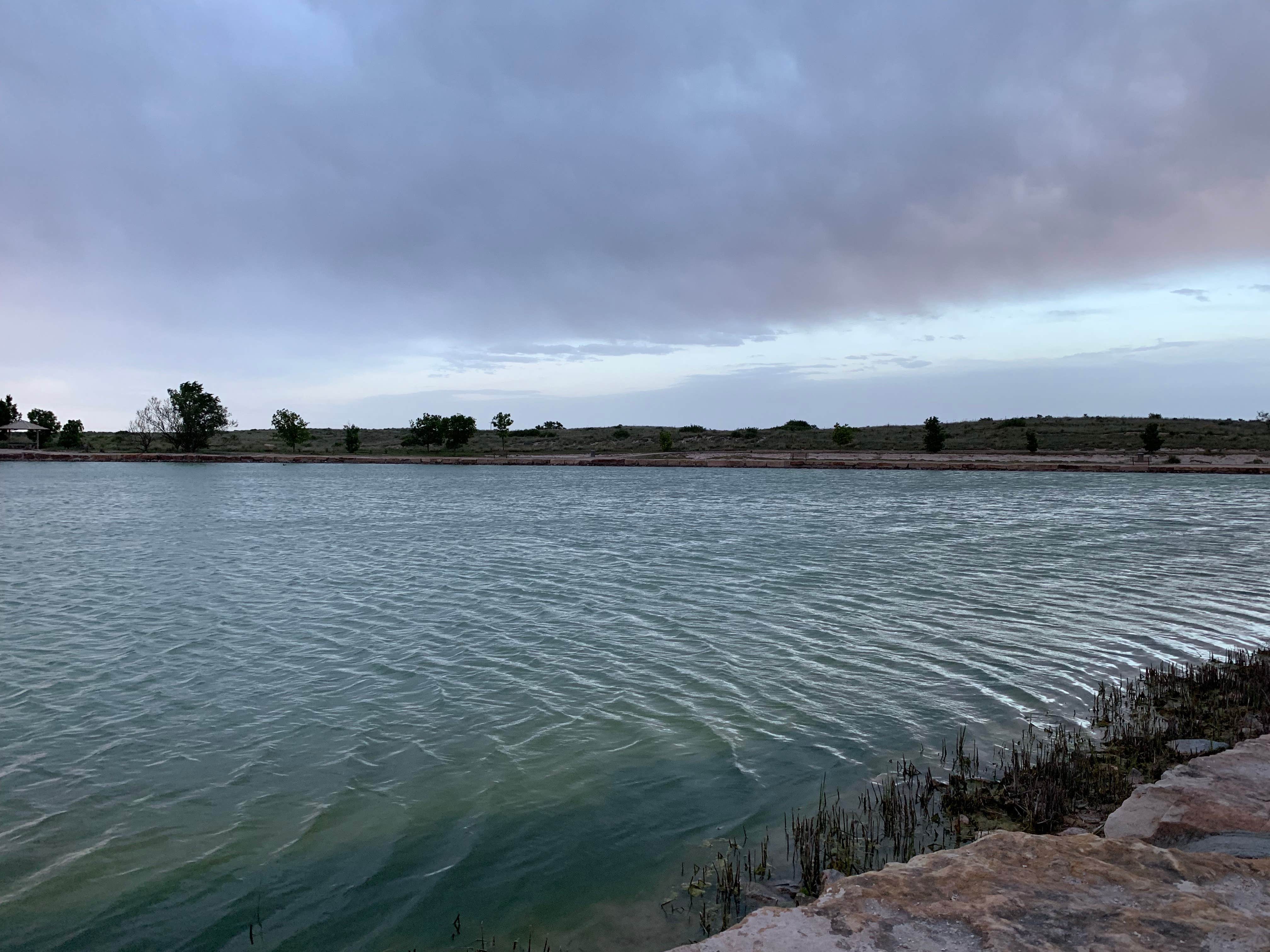 View All