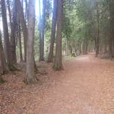 Review photo of South Nicolet Bay Campground — Peninsula State Park by jasmine L., September 1, 2016
