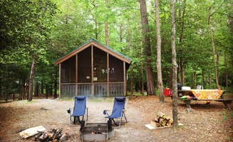 Jody V.'s photo of a cabin at Trap Pond State Park Campground near Millville, DE