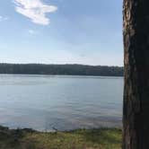 Review photo of Wind Creek State Park Campground by Cam A., June 13, 2019