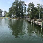 Review photo of Wind Creek State Park Campground by Cam A., June 13, 2019