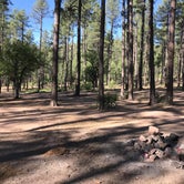 Review photo of Bearhide Group Site by Nolan S., June 13, 2019