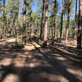 Review photo of Bearhide Group Site by Nolan S., June 13, 2019