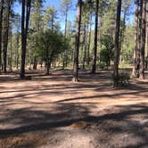 Review photo of Bearhide Group Site by Nolan S., June 13, 2019