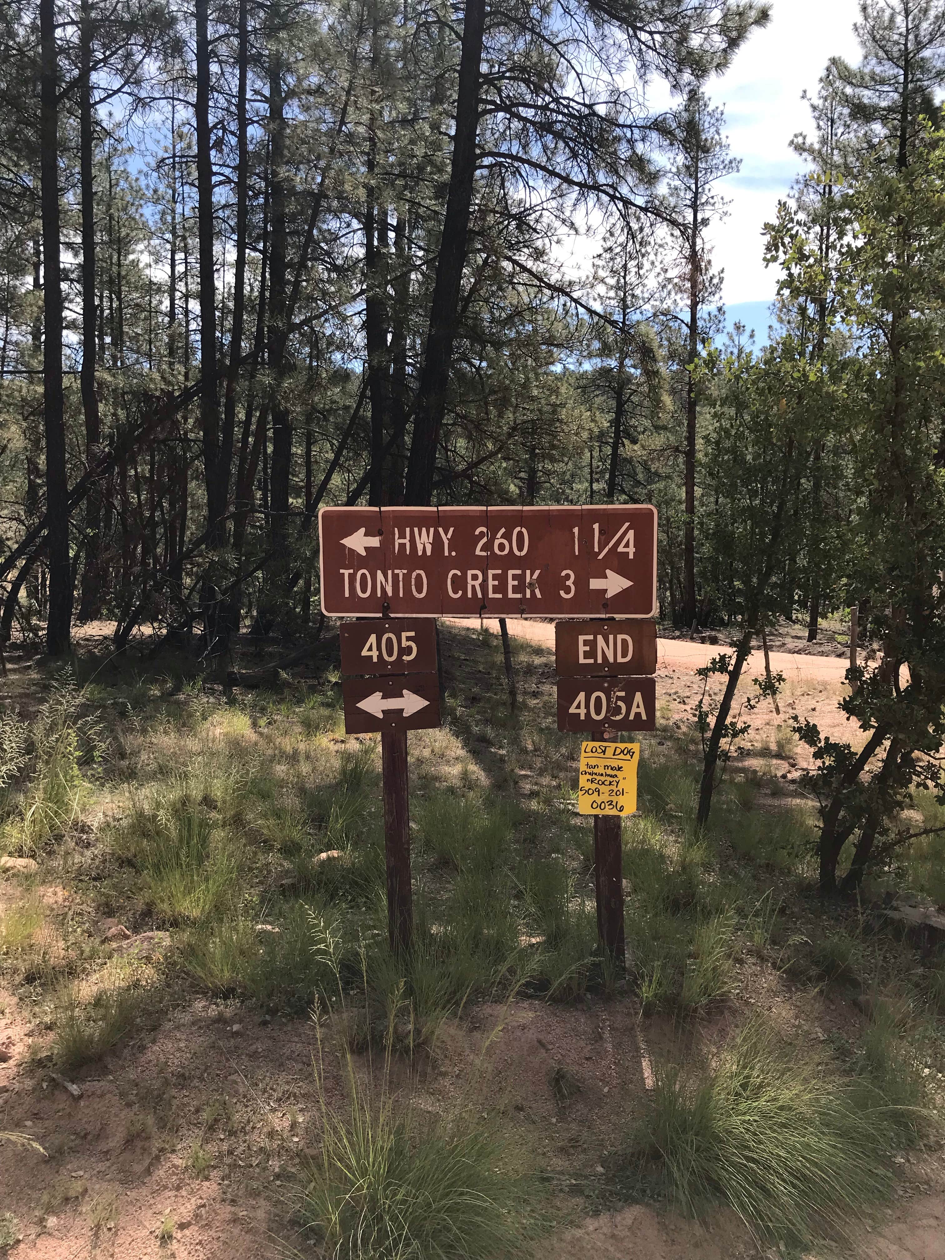 Camper-submitted photo at Bearhide Group Site near Forest Lakes, AZ