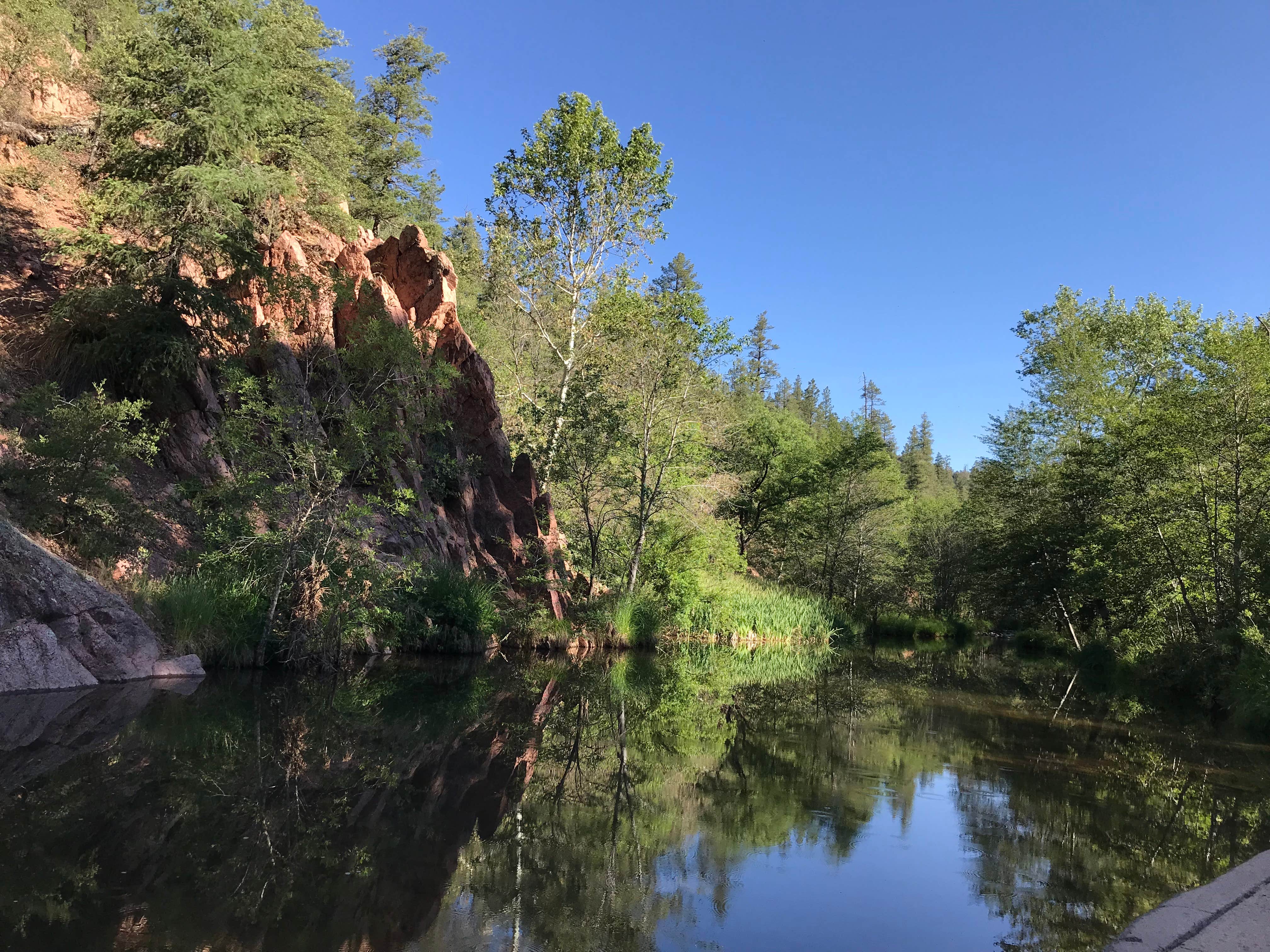 Camper-submitted photo at Bearhide Group Site near Forest Lakes, AZ