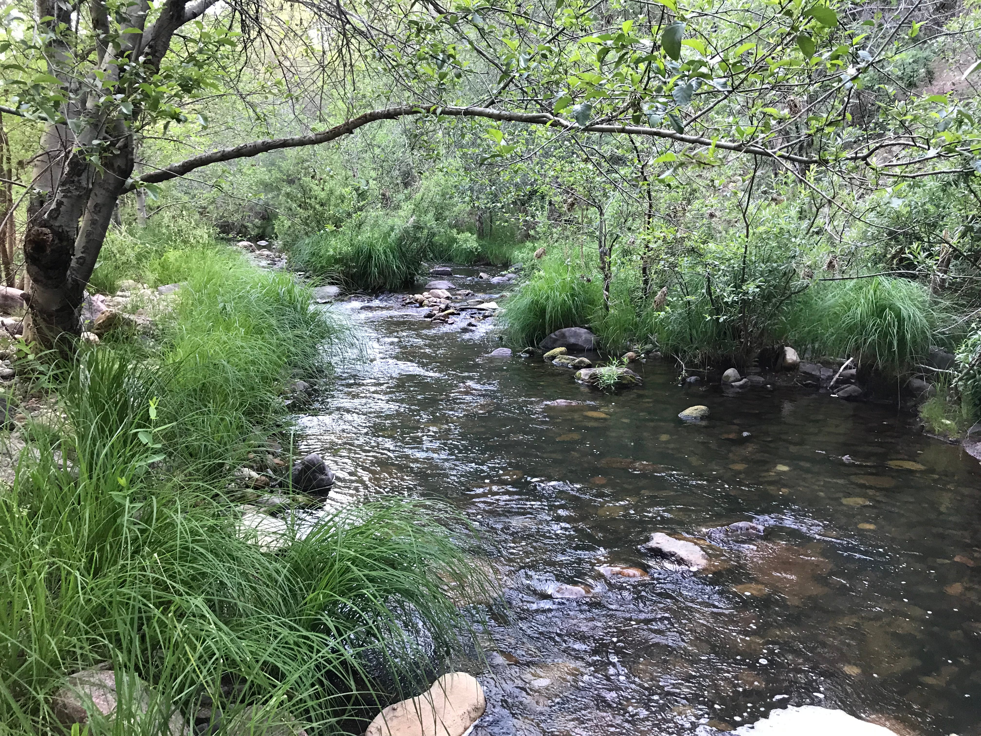 Tonto creek, two miles down the road