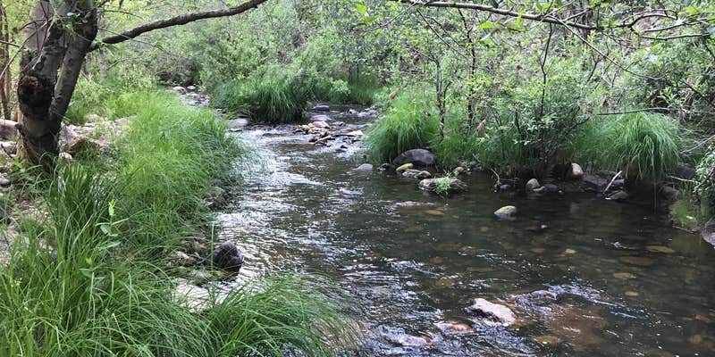 Camper submitted image from Bearhide Group Site