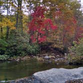 Review photo of Pisgah National Forest Dispersed by Anita L., June 13, 2019