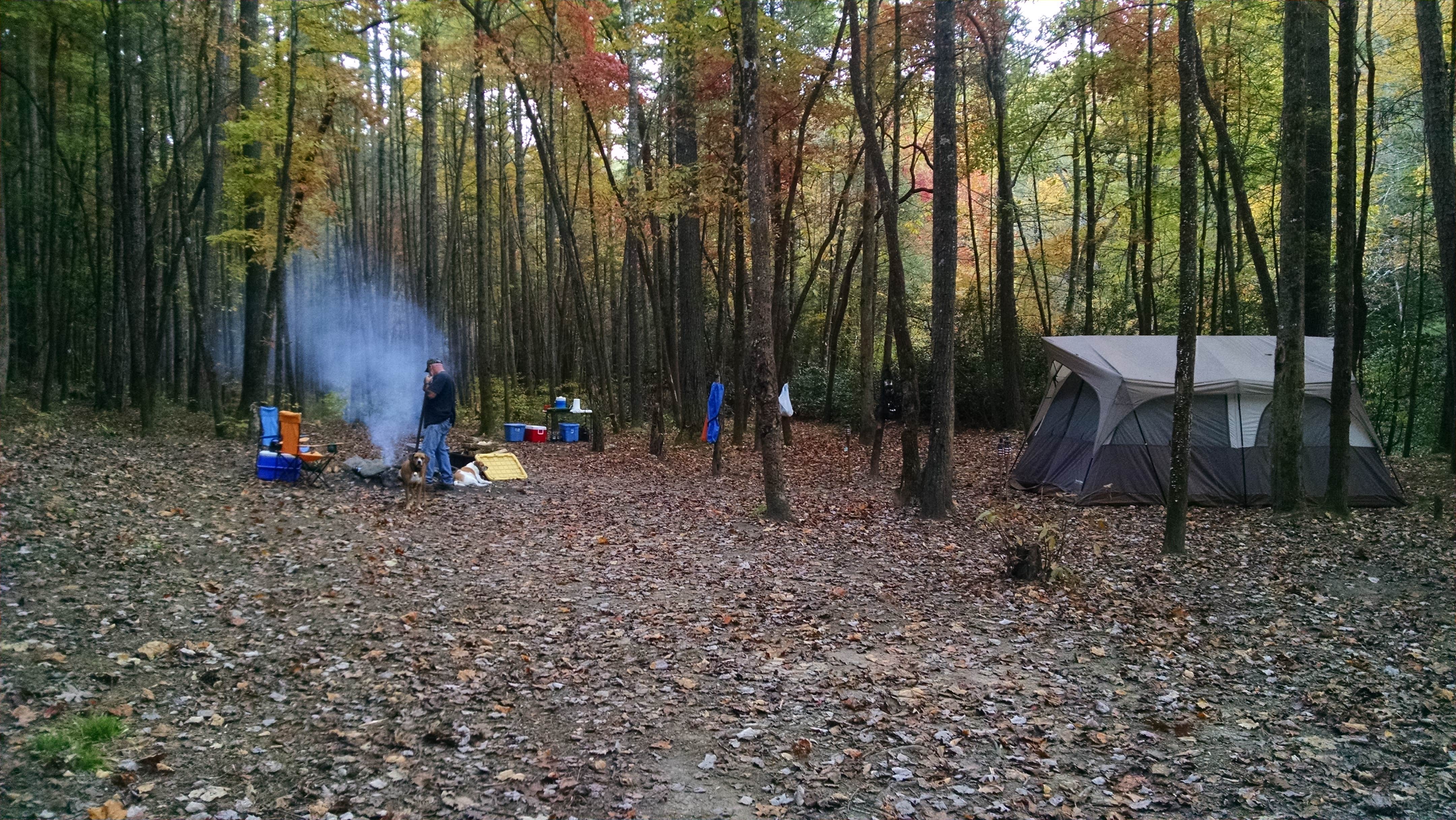 Anita L.'s photo of a dispersed camping area at Pisgah National Forest Dispersed near Candler, NC