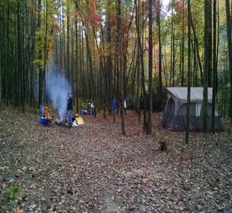 Camper-submitted photo from Pisgah National Forest Dispersed