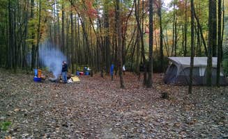 Anita L.'s photo of a dispersed camping area at Pisgah National Forest Dispersed near National Forests in North Carolina
