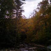 Review photo of Pisgah National Forest Dispersed by Anita L., June 13, 2019