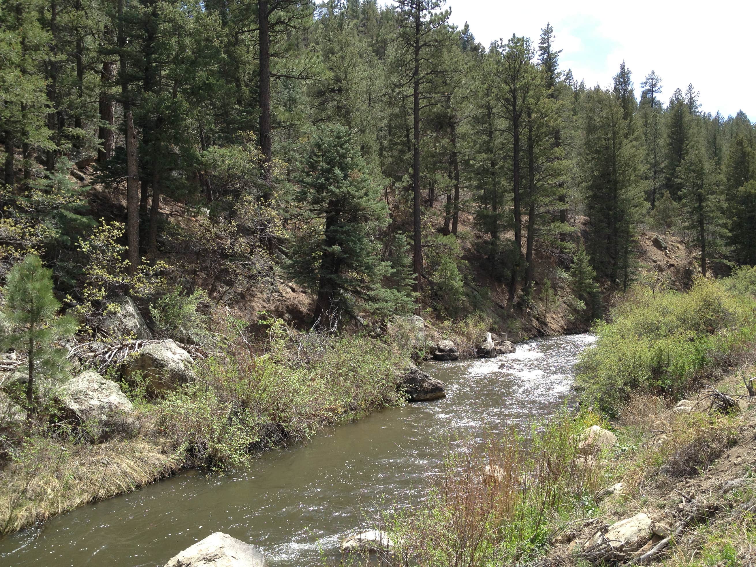 Tolby - Cimarron Canyon State Park Camping | The Dyrt