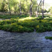 Review photo of Tolby Campground — Cimarron Canyon State Park by Grayson L., June 14, 2019