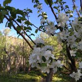 Review photo of Tolby Campground — Cimarron Canyon State Park by Grayson L., June 14, 2019