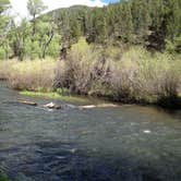 Review photo of Tolby Campground — Cimarron Canyon State Park by Grayson L., June 14, 2019