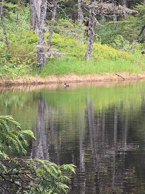 Camper submitted image from Entry Cove State Park Campground - 2