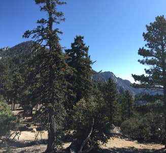 Camper-submitted photo from Idyllwild Campground — Mount San Jacinto State Park