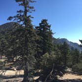Review photo of Idyllwild Campground — Mount San Jacinto State Park by Mark C., September 1, 2016