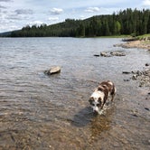Review photo of Spring Creek Campground by Zayne W., June 14, 2019