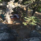 Review photo of Idyllwild Campground — Mount San Jacinto State Park by Mark C., September 1, 2016