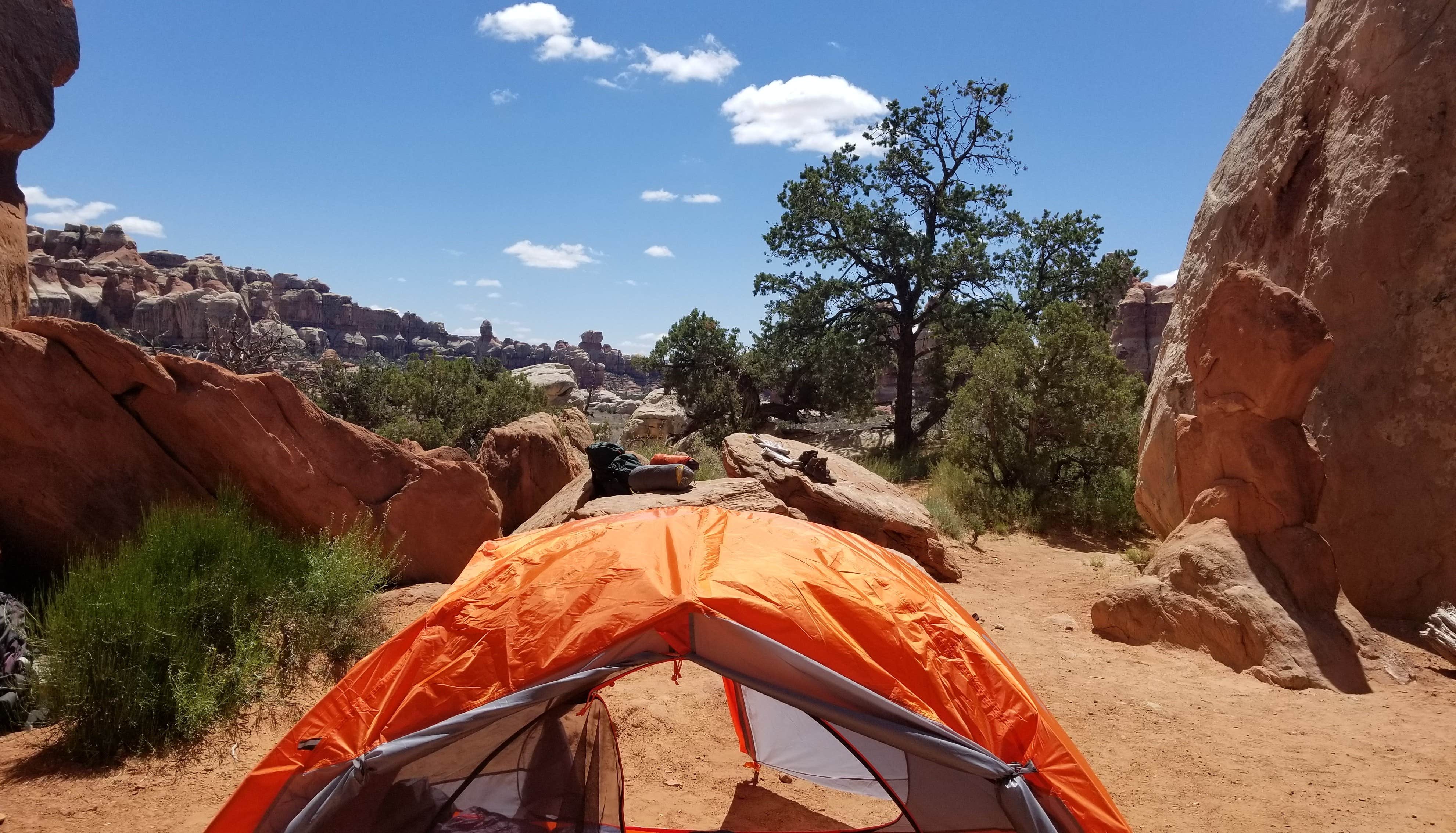 Camper submitted image from Chesler Park 1 (CP1) Backcountry Campsite, Needles District of Canyonlands National Park - 4