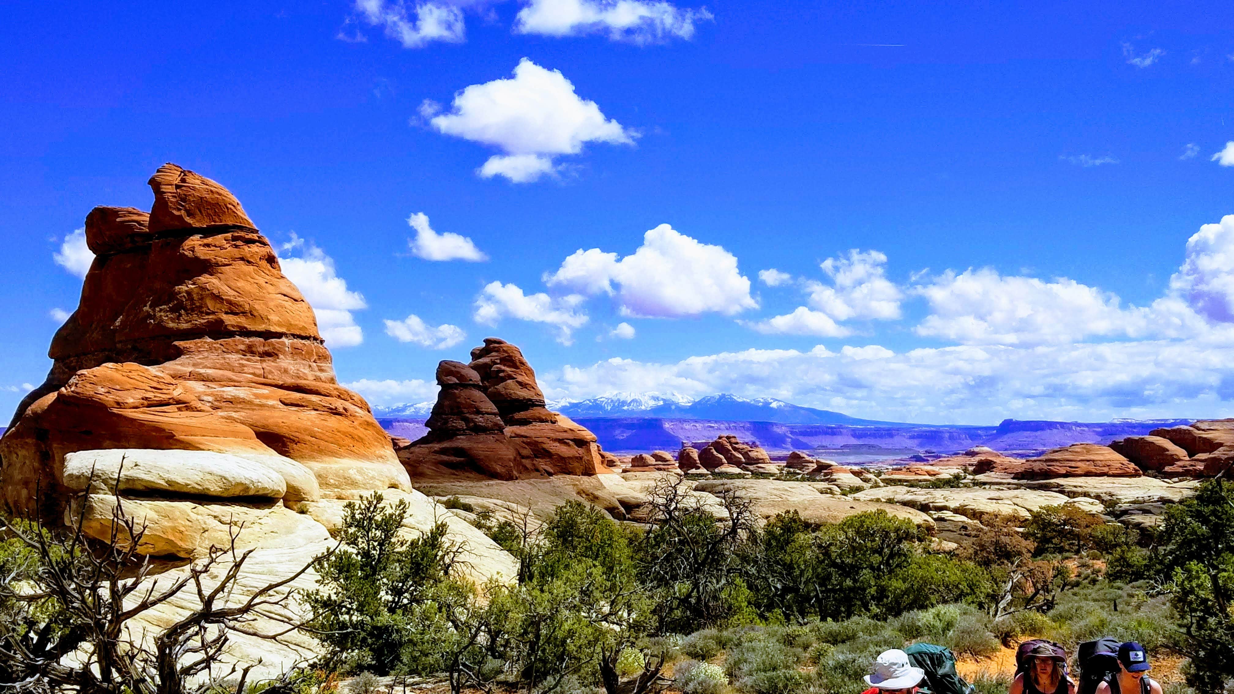 Camper submitted image from Chesler Park 1 (CP1) Backcountry Campsite, Needles District of Canyonlands National Park - 3