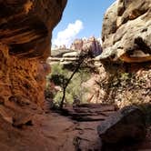 Review photo of Chesler Park 1 (CP1) Backcountry Campsite, Needles District of Canyonlands National Park by Caleb K., June 14, 2019