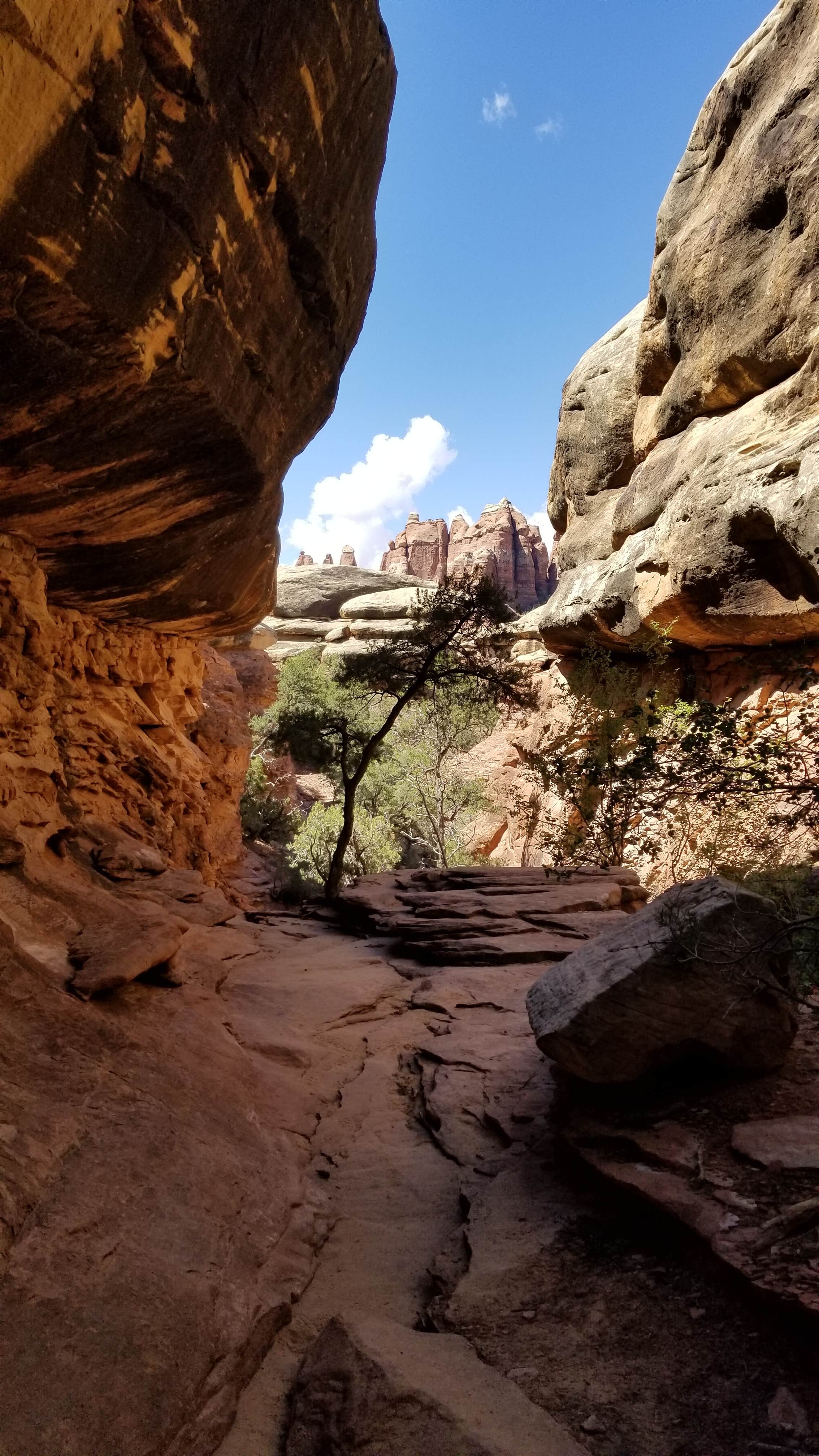 Camper submitted image from Chesler Park 1 (CP1) Backcountry Campsite, Needles District of Canyonlands National Park - 1