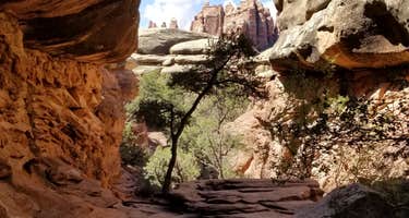 Chesler Park 2 (CP2) campsite in The Needles District of Canyonlands National Park