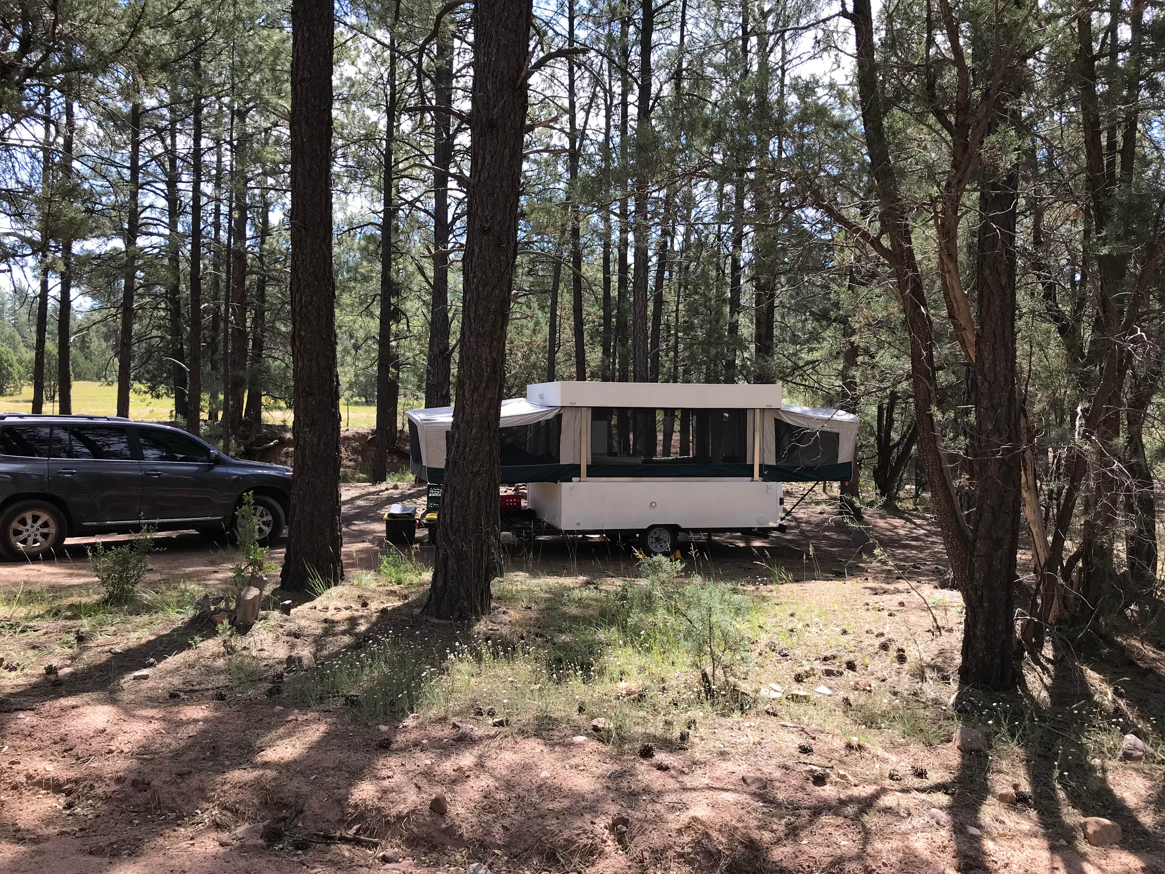 Camper submitted image from Bear Flat Campground - PERMANENTLY CLOSED - 4