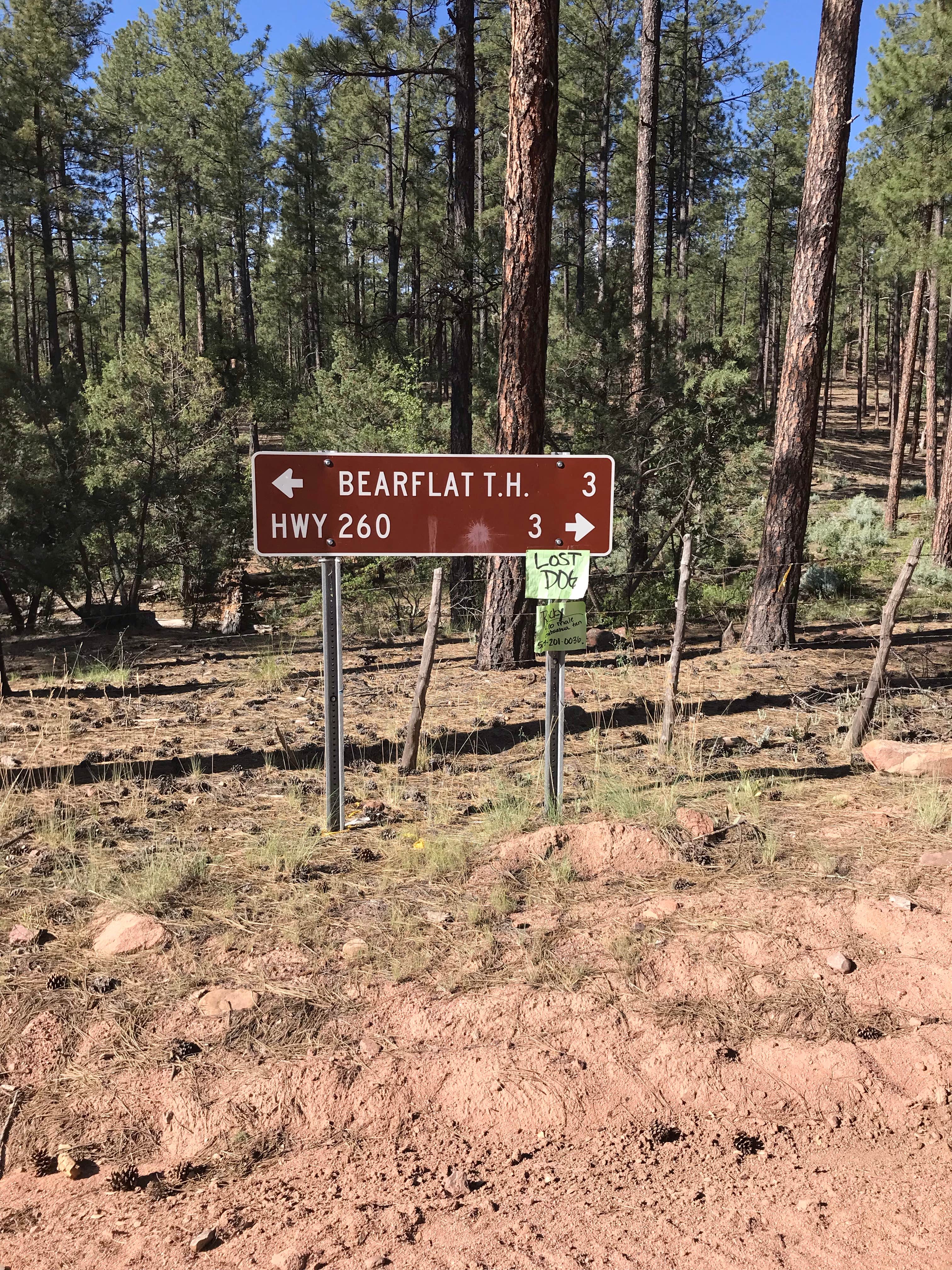 Camper submitted image from Bear Flat Campground - PERMANENTLY CLOSED - 3