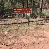 Review photo of Bear Flat Campground by Nolan S., June 14, 2019
