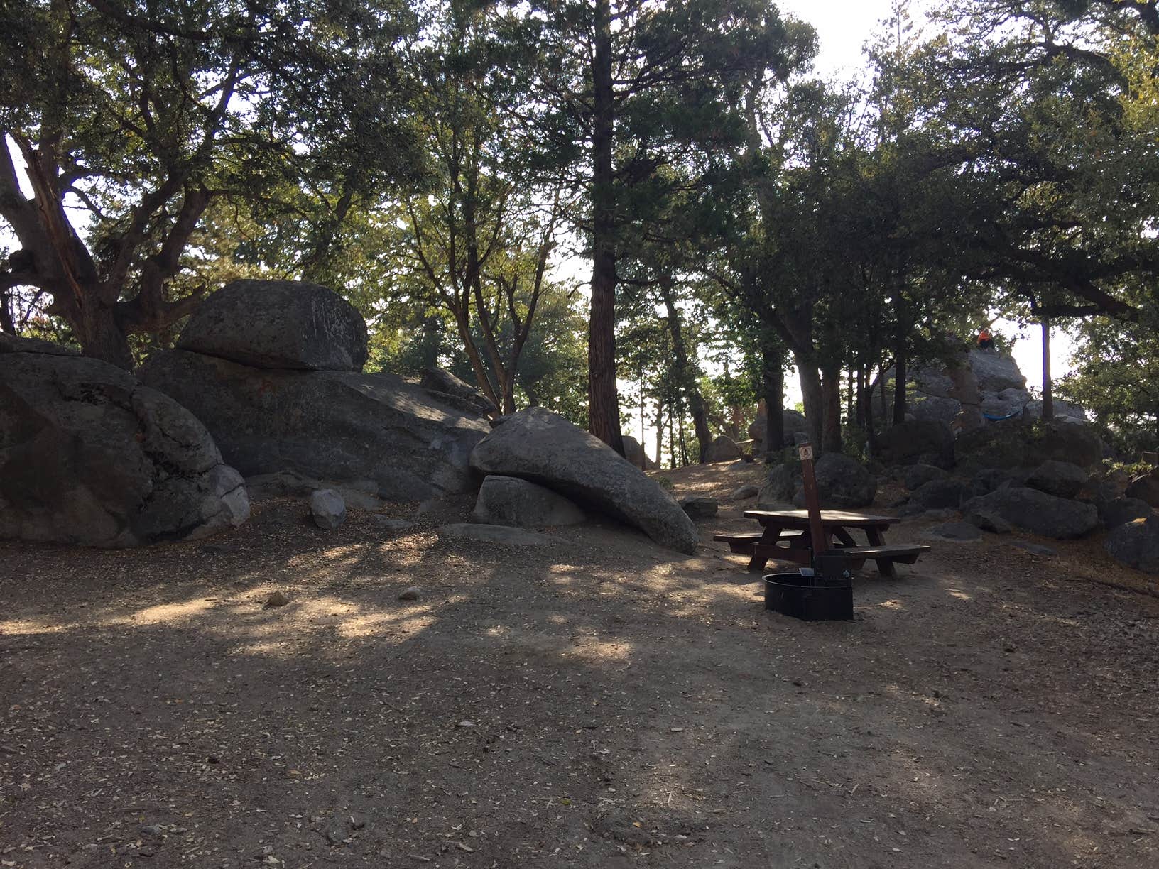 Camper submitted image from Idyllwild Campground — Mount San Jacinto State Park - 4