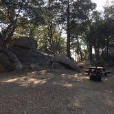 Review photo of Idyllwild Campground — Mount San Jacinto State Park by Mark C., September 1, 2016