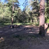 Review photo of Bear Flat Campground - PERMANENTLY CLOSED by Nolan S., June 14, 2019