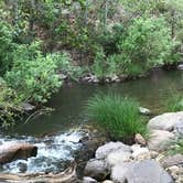 Review photo of Bear Flat Campground - PERMANENTLY CLOSED by Nolan S., June 14, 2019