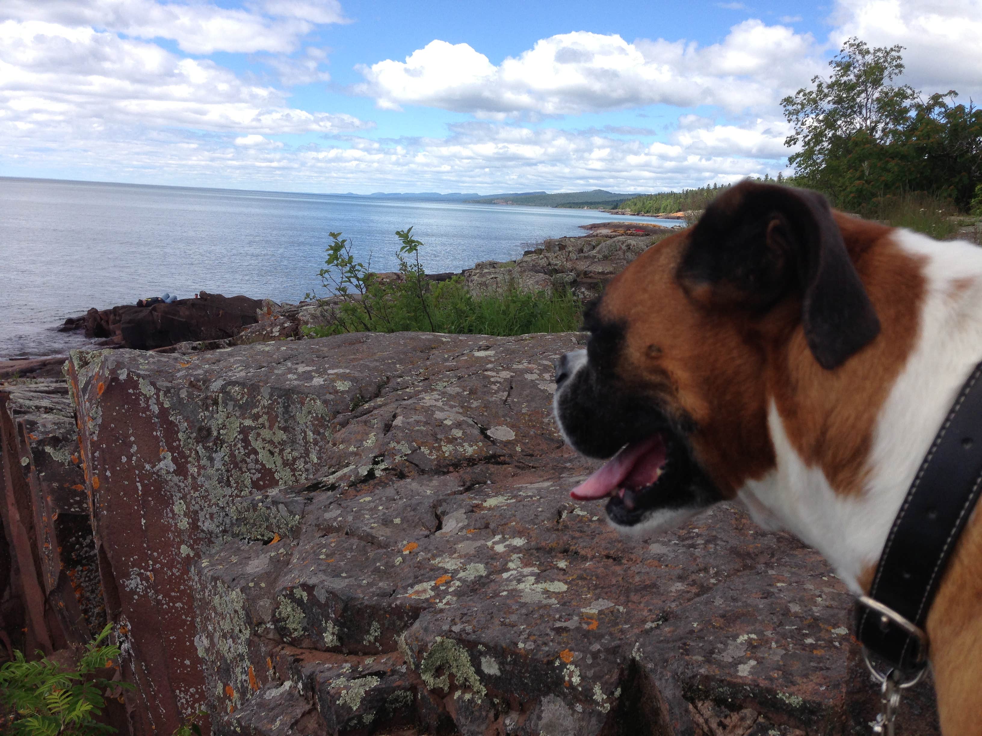 Jeff L.'s photo of camping with pets at Grand Marais Campground & Marina near Tofte, MN