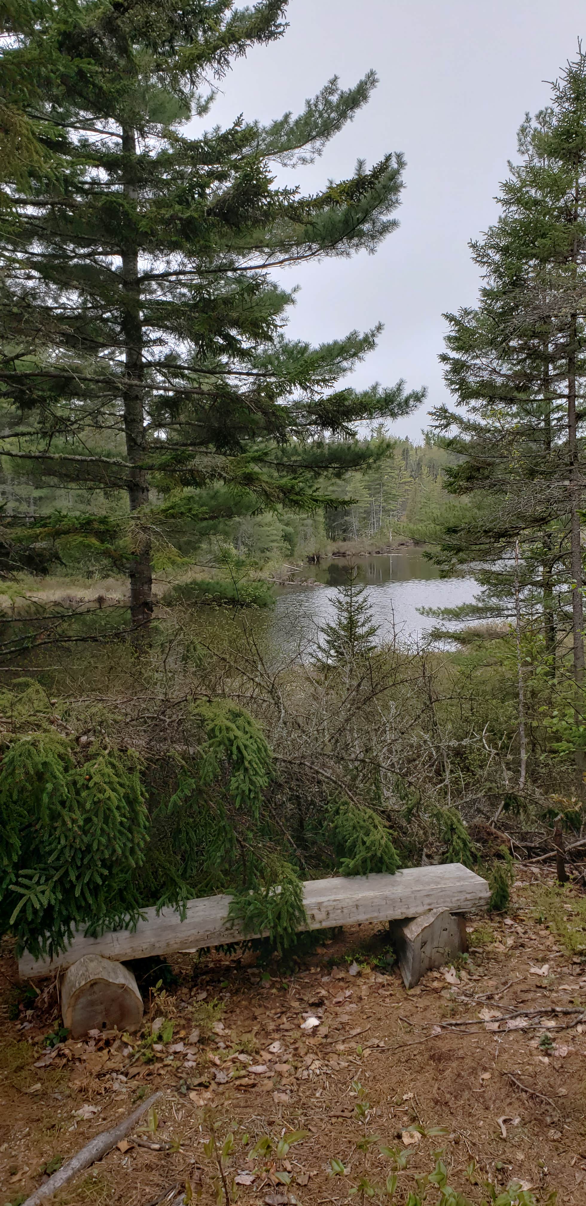 Camper submitted image from Sandbank Stream — Katahdin Woods And Waters National Monument - 4