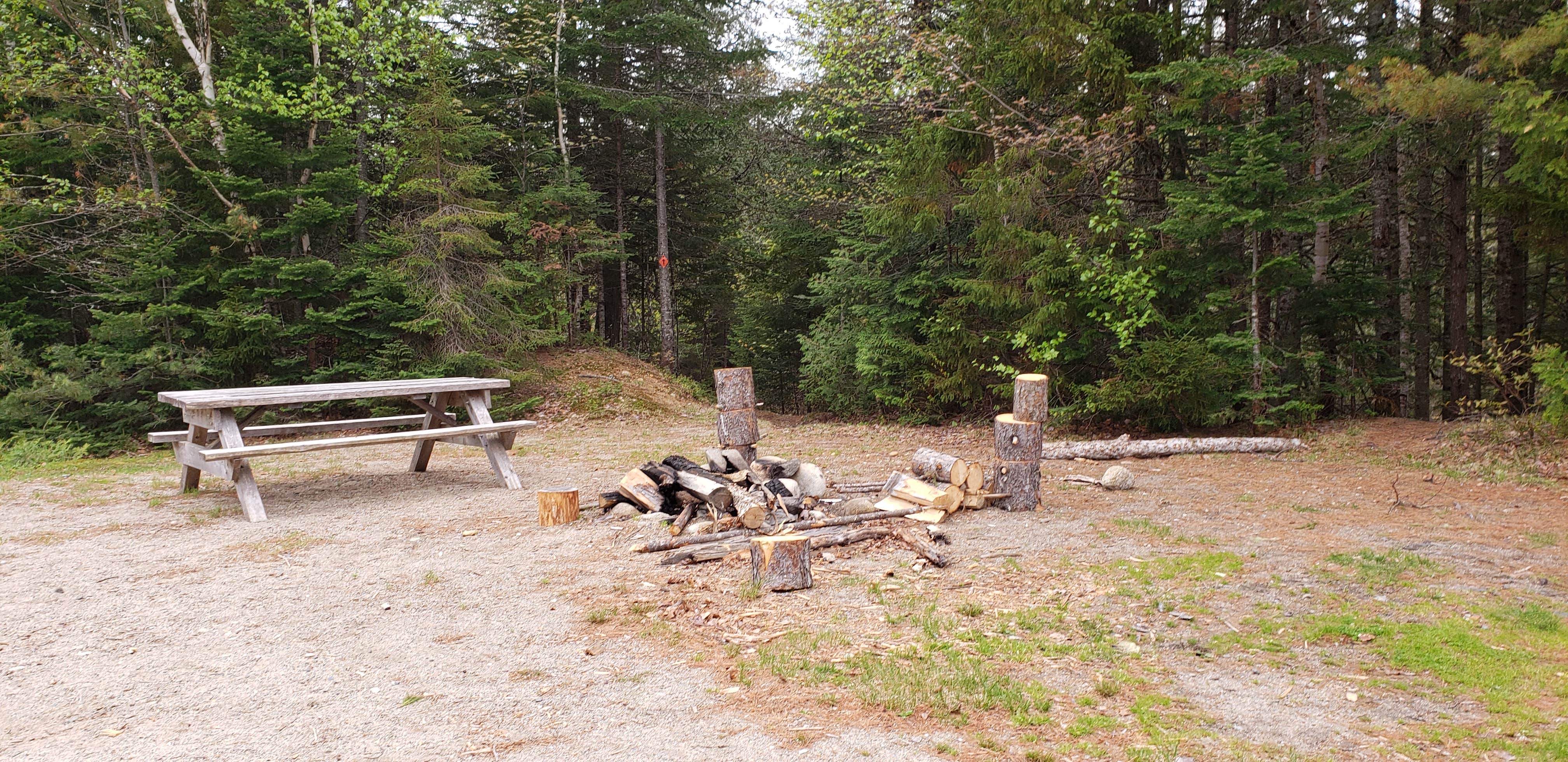 Campfire ring and picnic table