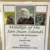 Review photo of San Juan County Park by Lee D., June 14, 2019