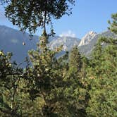Review photo of Idyllwild Campground — Mount San Jacinto State Park by Mark C., September 1, 2016